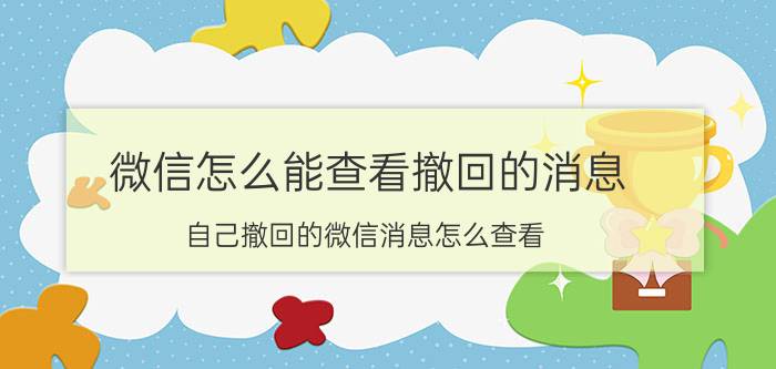 微信怎么能查看撤回的消息 自己撤回的微信消息怎么查看？